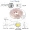 6.56ft/2m LED Strip Light 110V IP65 Waterproof 2500LM Dimmable Rope Light SMD 5050 6000K Cold White Warm